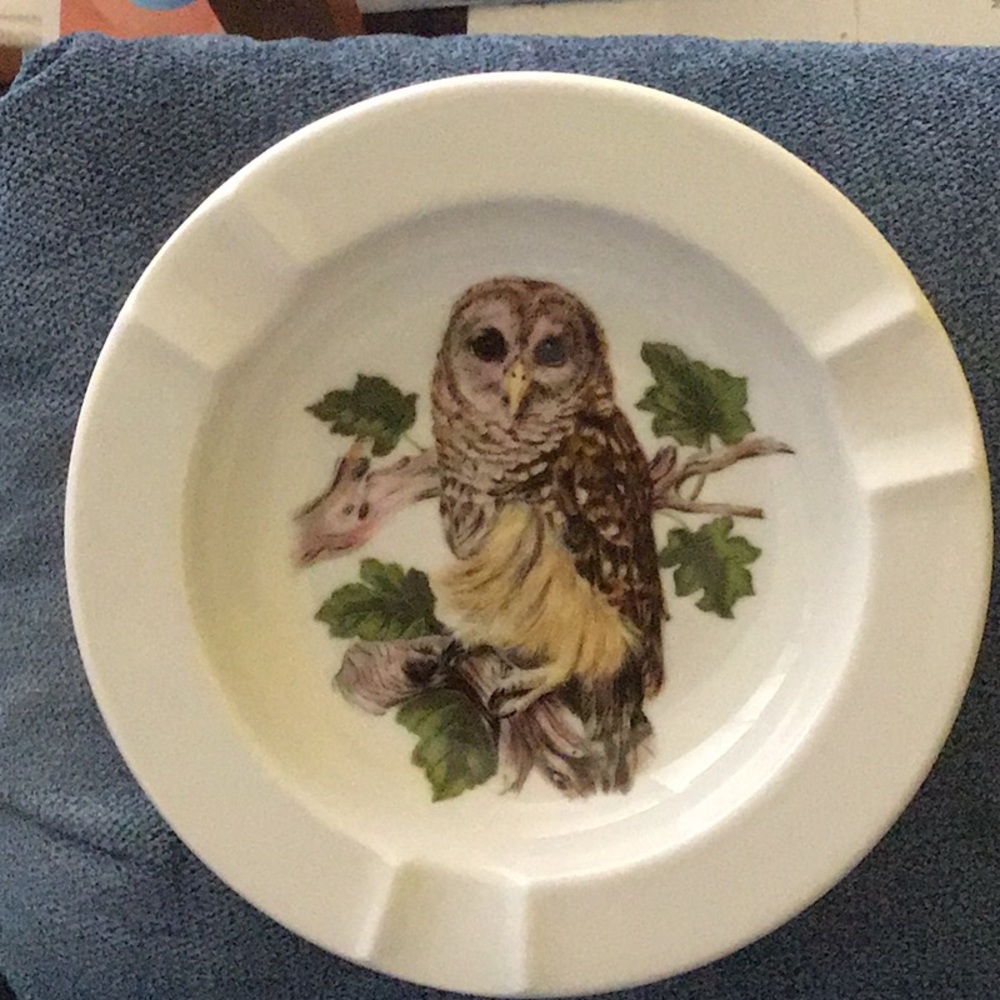 Barred Owl ashtray